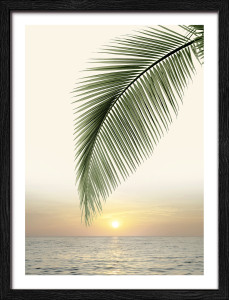 Gerahmtes Bild JUNGLE LEAVES Gerahmtes Bild JUNGLE LEAVES