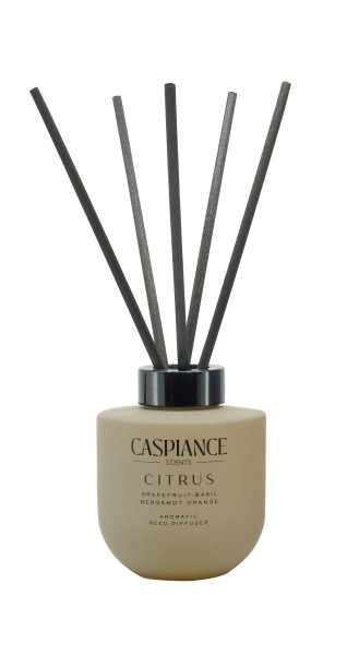 Duftstäbchen CITRUS in grün