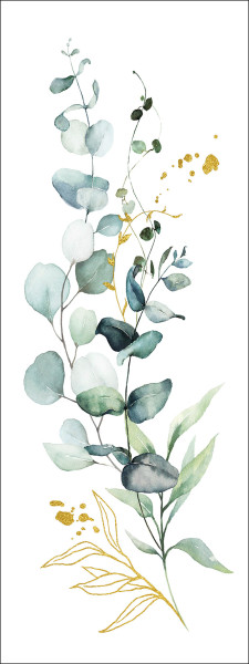 Keilrahmenbild EUCALYPTUS