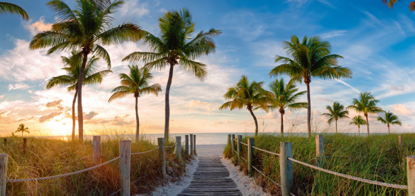 Akustikbild PALMEN AM STRAND in mehrfarbig