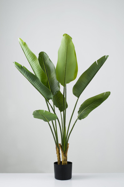 Kunstpflanze STRELIZIE in grün aus Kunststoff