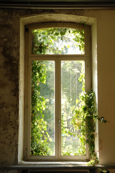 Akustikbild FENSTER BEWACHSEN