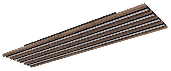 Deckenleuchte HAYDEN in schwarz aus Metall