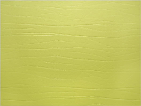 Tischset DUMBO LEATHERIXX in limette aus Leder