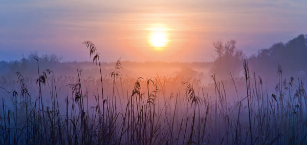 Akustikbild SONNENAUFGANG