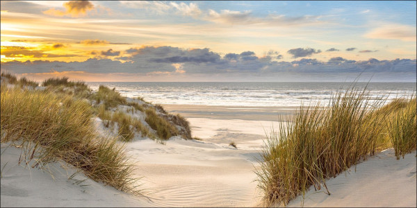 Aludibondbild DUNE AT SUNSET