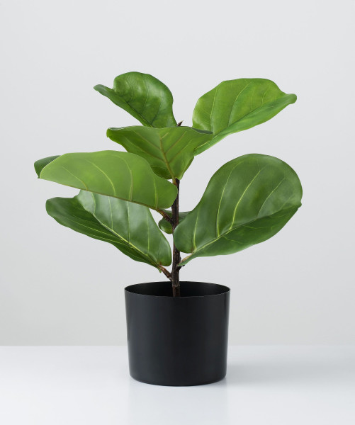 Kunstpflanze FICUS LYRATA in grün aus Materialmix