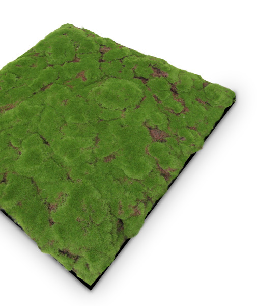 Wandpaneel MODULAR WALL