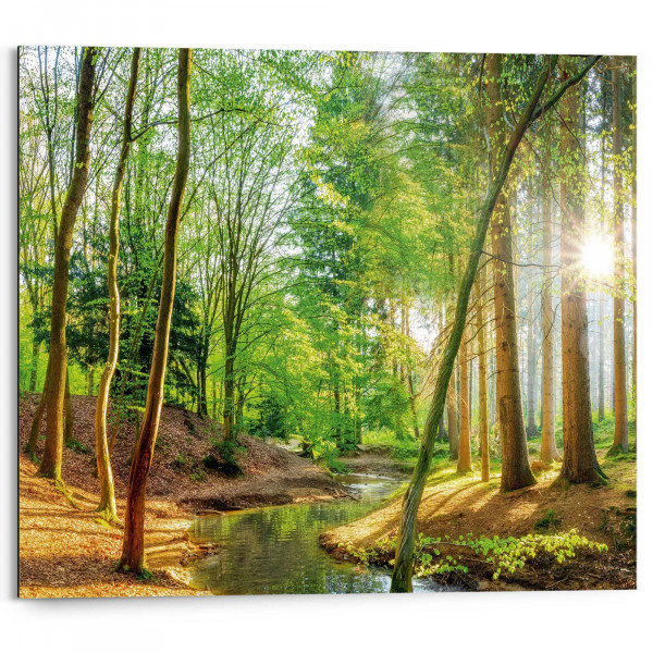 Bild SPRING WOODS in mehrfarbig