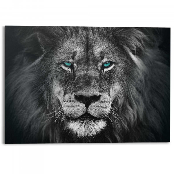Bild LIONS FACE in mehrfarbig