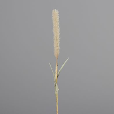 Pampasgras braun in braun aus Kunststoff