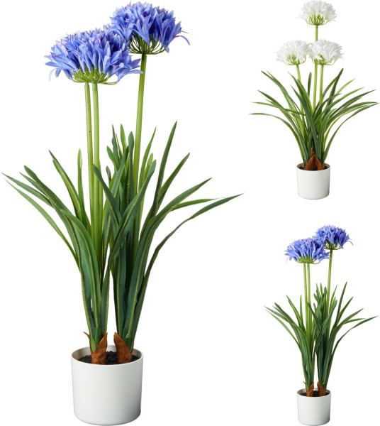 Kunstpflanze AGAPANTHUS in mehrfarbig aus Polypropylen