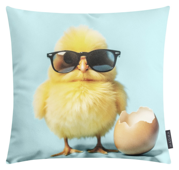 Kissen TWEETY aus Polyester