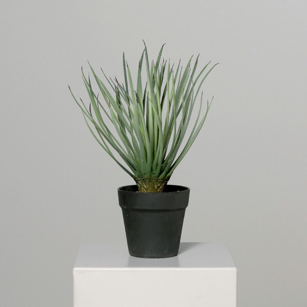 Kunstpflanze Palme