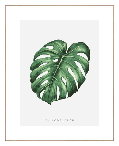 Bild MONSTERA LEAF in mehrfarbig aus Papier