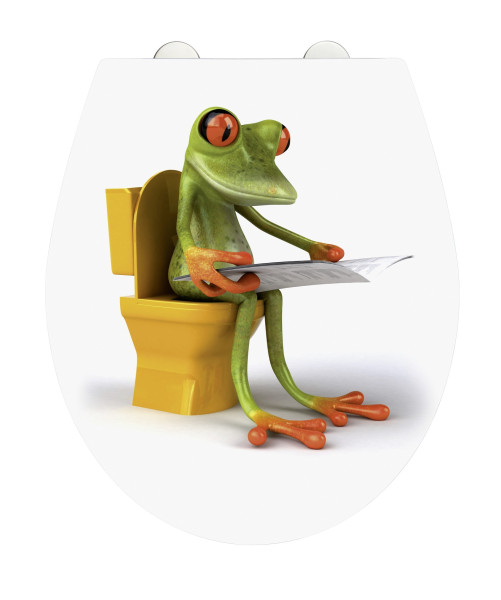 WC-Sitz FROG NEWS in mehrfarbig aus Materialmix