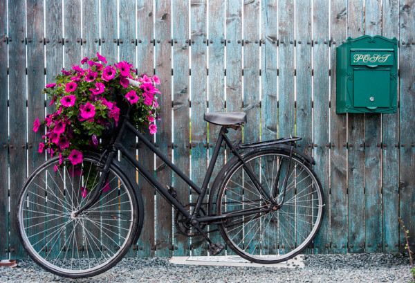 Akustikbild FAHRRAD BLUMENDEKO