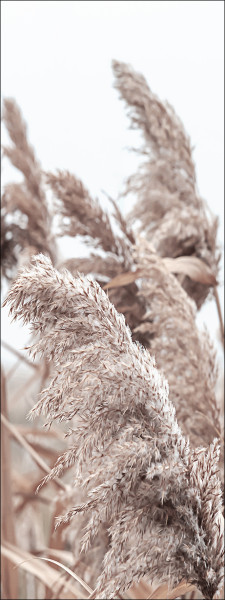 Keilrahmenbild IN THE BREEZE