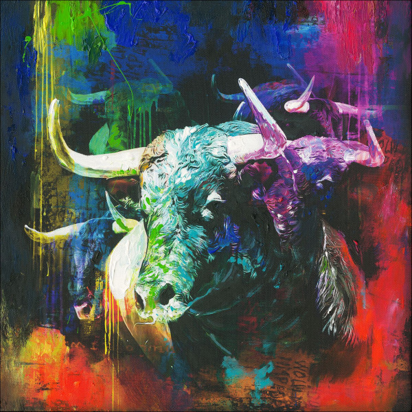 Originalbild COLOURFULL BULL