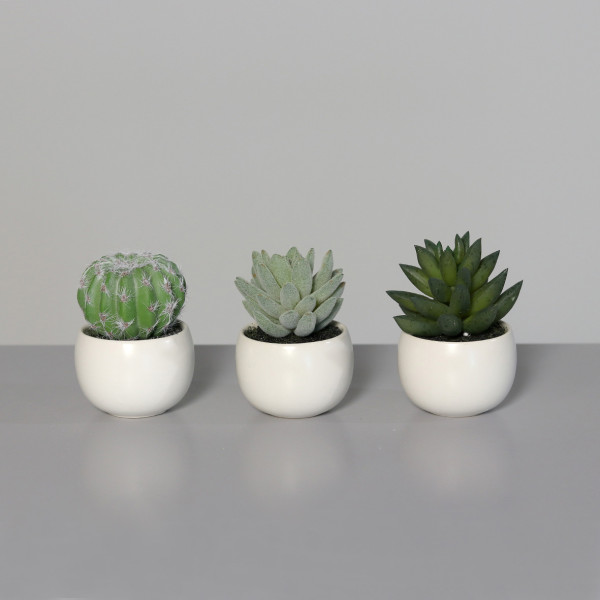 Kunstpflanze Sukkulenten in weiß aus Kunststoff