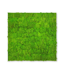 Wandpaneel MODULAR WALL Wandpaneel MODULAR WALL