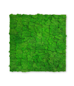 Wandpaneel MODULAR WALL Wandpaneel MODULAR WALL