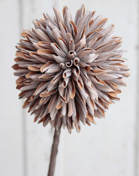 Kunstblume ALLIUM