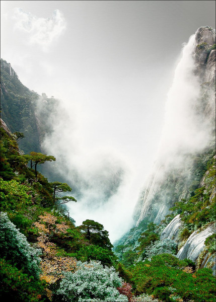 Aludibondbild FOGGY MOUNTAIN