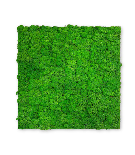Wandpaneel MODULAR WALL in grün aus Materialmix