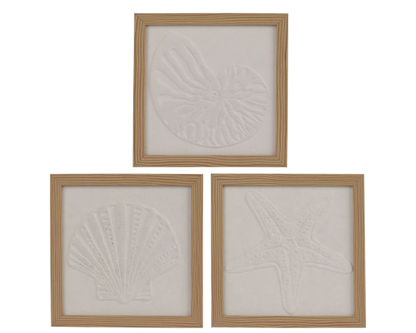 Bild MUSCHEL/SEESTERN in weiß aus Schaum