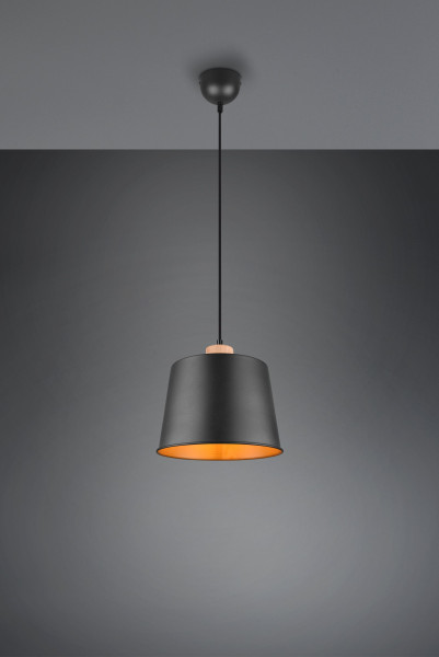 Pendelleuchte HARRIS in schwarz aus Metall