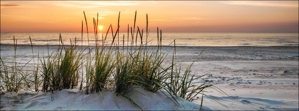 Glasbild LONELY DUNE