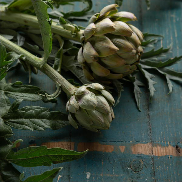Glasbild ARTICHOKE I in mehrfarbig aus Glas