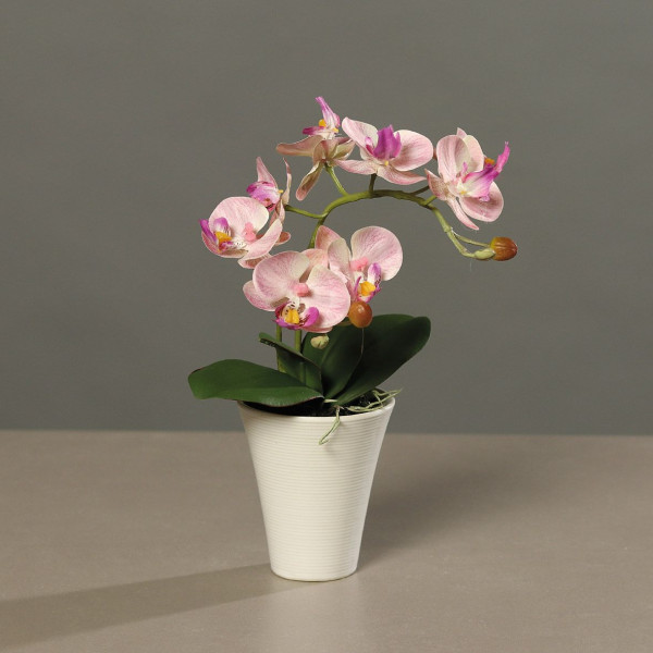 Kunstblume Orchidee