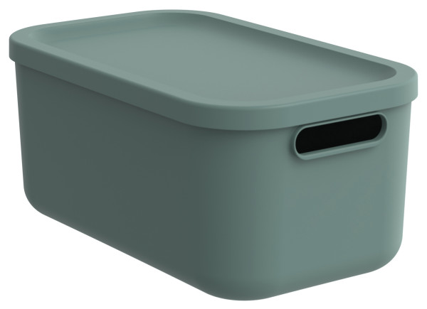 Box ALBULA LIGHT grün in grün aus Kunststoff